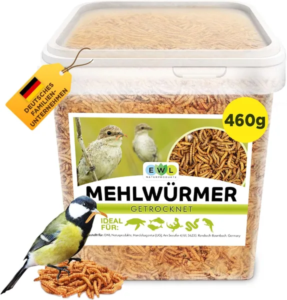 Dried Mealworms, Premium Insect Snack for Birds, Fish, Turtles, Rodents, Hedgehogs, Reptiles