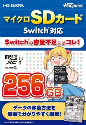 SD Switch 256GB Best Deal