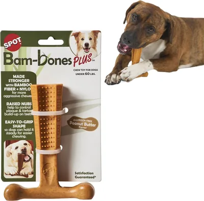 SPOT Bam-Bones PLUS T Bone - Best Deal