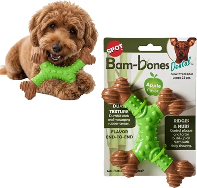 SPOT Bam-Bones Dental X-Bone - Bamboo Fiber & Massaging Rubber - 30% Off