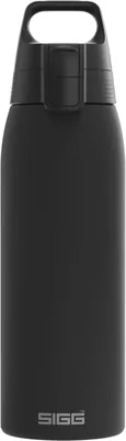 Sigg Stainless Steel Trinkflasche Shield ONE, 18% Rabatt