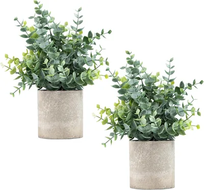 Coferset 2 Pack Fake Eucalyptus Plants - 47% Off