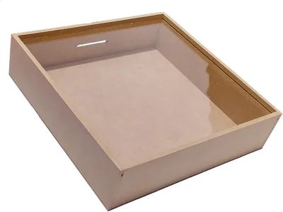 Alcancías para Adultos Ramírez - Caja Fuerte Pequeña con Tapa de Acrílico Transparente