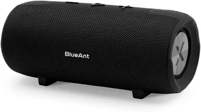 BlueAnt Wireless X3 Portable Bluetooth Speaker - Best Deal