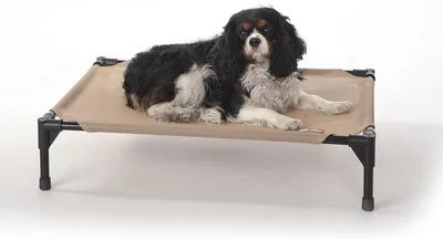 K&H Pet Elevated Outdoor Dog Bed