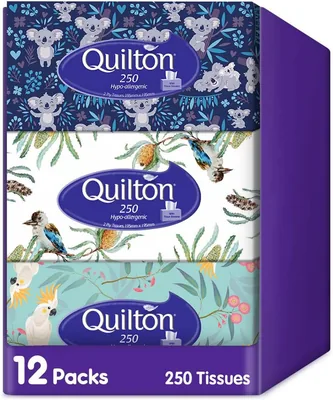 Quilton 2-Ply Facial Tissue 12 Packs Best Deal