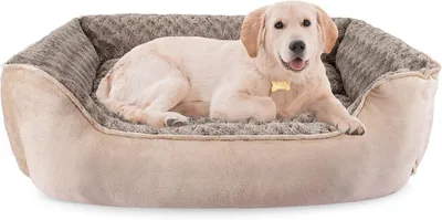 JOEJOY Rectangle Dog Bed - Machine Washable & Non-Slip