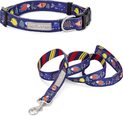 Lucky Love Dog Collar & Leash Set - Comfortable Pet Collar for Dogs
