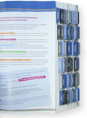 PEZ DE PAPEL Pestañas para Biblia Católica, Azul y Gris