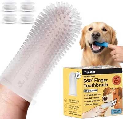 Jasper Dog Toothbrush 360 Kit - Best Deal