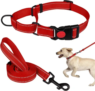 Martingale Dog Collar & Leash Set - Reflective, S/M/L