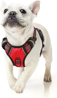 HEELE Dog Harness No-Pull Dog Harness, 84% Off - Best Price, Save SEK 1409.74 Today!