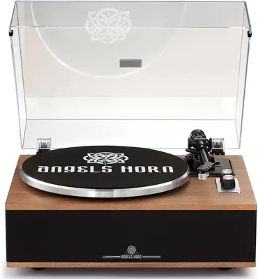 All-in-One Vinyl Turntable 21% Off