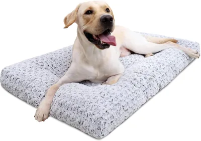 KSIIA Washable Dog Bed - Best Deal