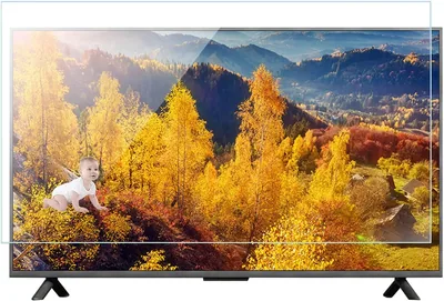 32-75 Inch TV Screen Protector Best Deal