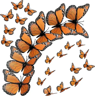 Dzyoleize 24 Piezas Víspera de Todos los Santos Decoración Mural Artificial Mariposa Monarca
