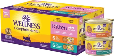 Wellness Complete Health Pate Kitten Food 46% Off