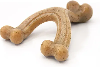Nylabone Gourmet Style Strong Chew Wishbone Dog Toy, Chicken, L/G