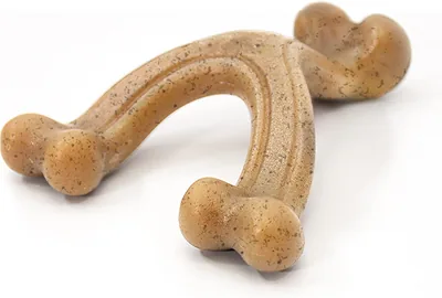 Nylabone Gourmet Style Strong Chew Wishbone Toy, Chicken Flavor (Small/Regular)