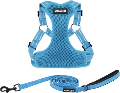 Pet Supplies Voyager Adjustable Dog Harness Leash Set - Best Deal