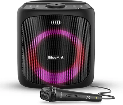 BlueAnt X4 Portable Bluetooth Speaker Best Deal