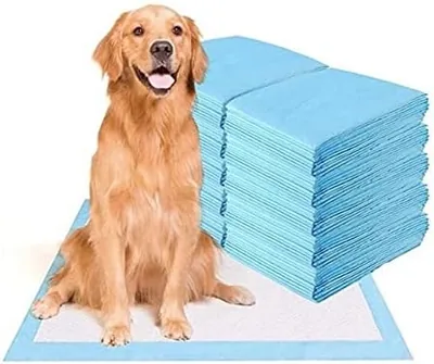 Disposable Dog Pee Pads - Ultra Absorbent & Unscented, Best Deal