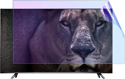 43 Inch TV Screen Protector - Anti Glare Best Deal