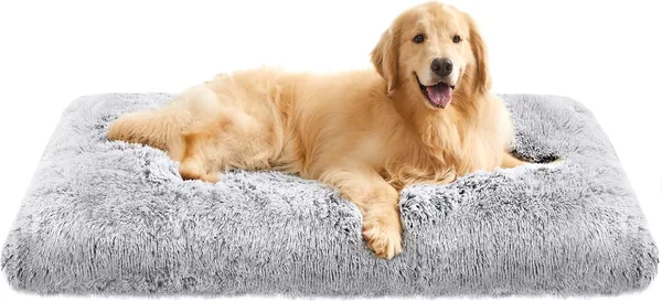 Lit pour chien Feandrea, Canapé, Lit pour animaux, 122 x 74 cm, Remplissage doux, Lavable, Oreiller pour chien, Gris Ombre PGW204G01