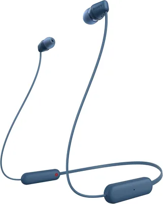 WI-C100 Wireless Headphones - 25hr Battery & Best Price