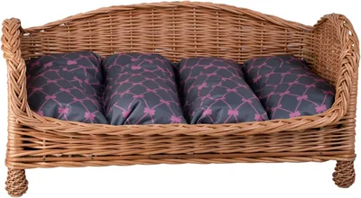 e-wicker24 Raised Dog Bed with Pillow - Best Deal