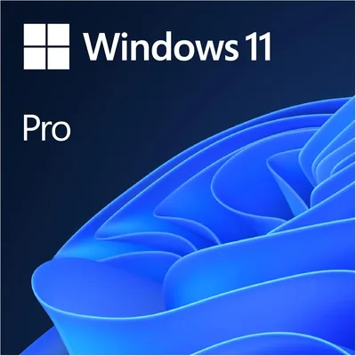 Microsoft Windows 11 Pro Lizenz für 1 Gerät | E-Mail-Aktivierung
