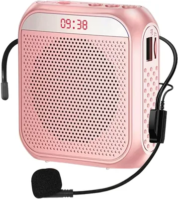 Voice Amplifier Headset Mic PA System - Best Deal