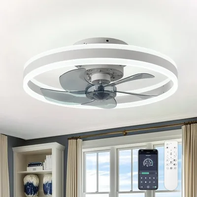 CHANFOK Ceiling Fan Light 31% Off