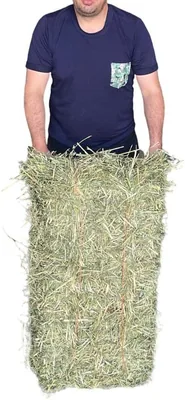 PACA Heno de Avena 15kg para Cuyo o Conejo