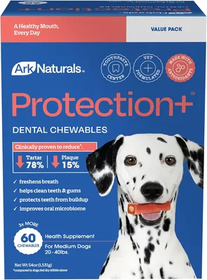 ARK NATURALS Protection+ Brushless Toothpaste for Dogs, Medium Breeds - Best Deal