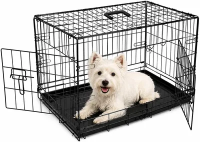 BUNNY BUSINESS Underdog Metal Dog Crate 15% Off