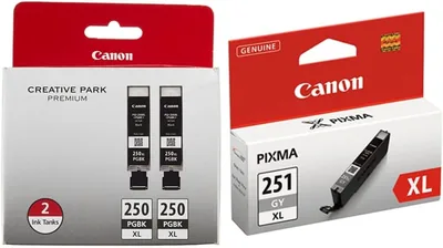 Canon PGI-250XL Black & CLI-251XL Gray Ink - Twin Pack