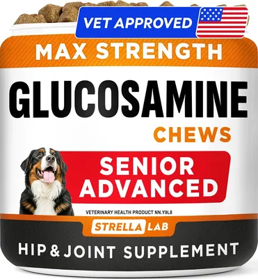 Senior Dog Glucosamine Chondroitin - 18% Off