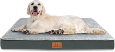Gzvxuny Orthopedic Dog Bed Best Deal