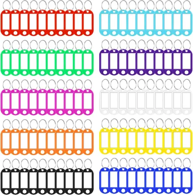 Vicloon 100 Pièces Étiquettes Clés Colorées en Plastique pour Sacs de Voyage, Clés, Animaux Domestiques ou Clés USB