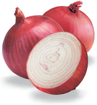 Onion India 1 kg - Best Deal