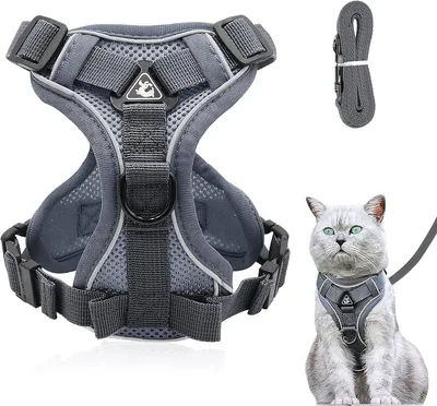 Harnein réglable anti-déchirure pour chat avec laisse - Harnein doux pour chat et chiot - Taille L (Gris)