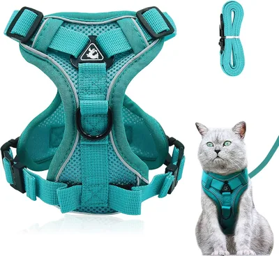 Aanpasbare katenslinger Anti Ontsnapping Katenslinger met Leash voor Katten Kittens Honden Puppies (Waterdicht)