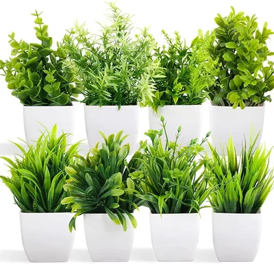Dekorly Artificial Plants 8 Pack | 59% Off
