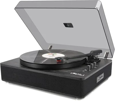 Turntable Vinyl Record Player with Speakers - Best Deal