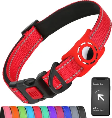 Erbine Airtag Dog Collar - Medium, Reflective & Soft Padded