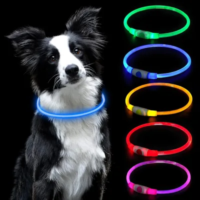 AUAUY LED Dog Collar - Flashing Light
