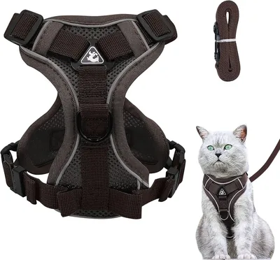Aanpasbare katenharnas Anti Ontsnapping Katenharnas met Leash, Zacht Katenharnas Borstharnas voor Katten Kitten Honden Puppy's M Bruin