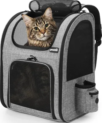 Pecute Cat Backpack - Pet Carrier with Mesh & Pockets