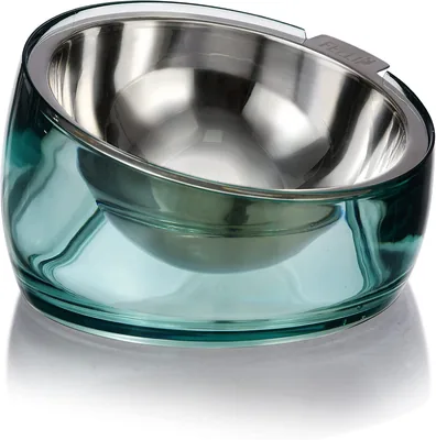 Felli Pet Raised Dog Food Bowl - Stainless Steel Slanted Oval Dish for Small Breeds, Best Deal
